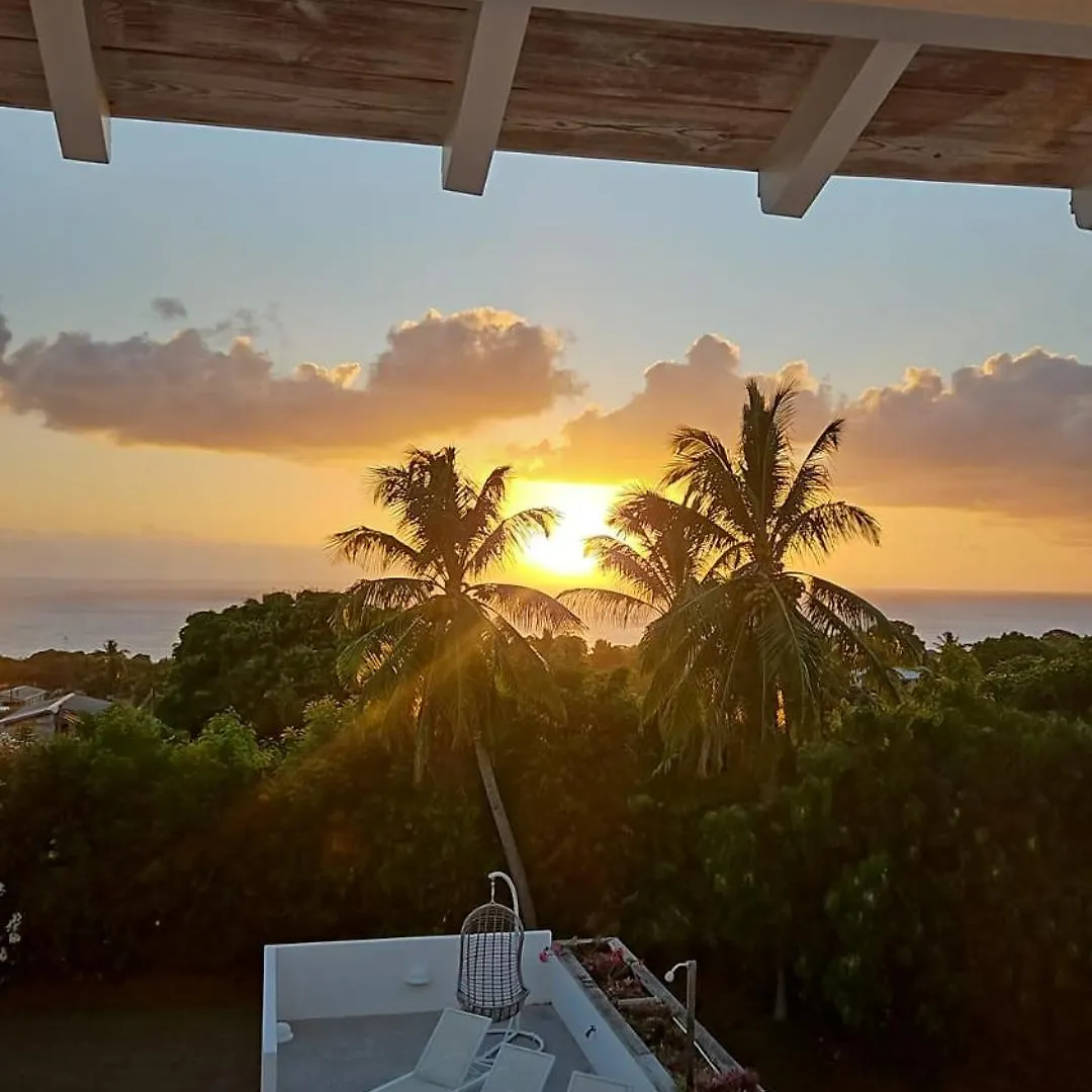 Villa Purple Haze - Infinity Pool Holiday Home Minutes From The Island'S Best Beaches Saint James Barbados